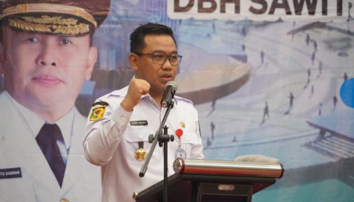 DBH Sawit 2025 Kalteng: Strategi Pemanfaatan untuk Pemerataan Pembangunan Daerah